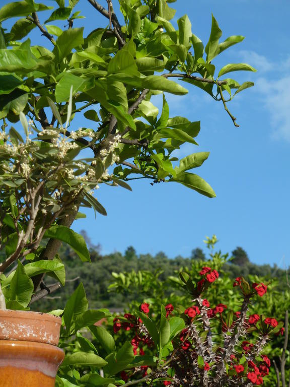 A Durmi Hotel Levanto Buitenkant foto