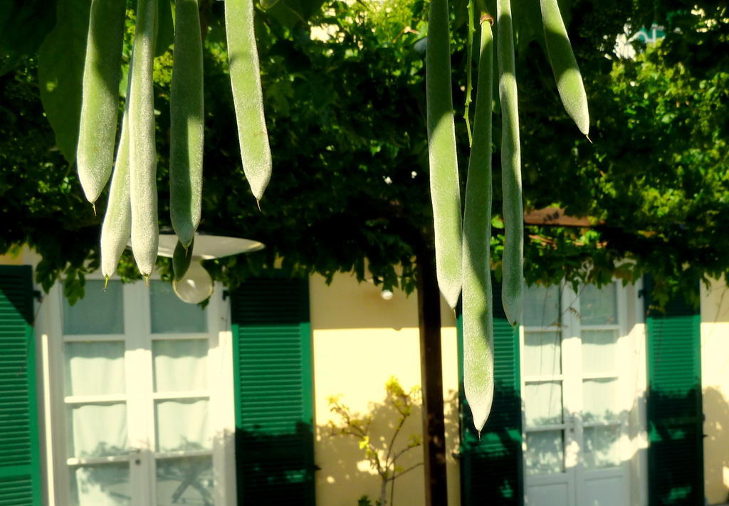 A Durmi Hotel Levanto Buitenkant foto